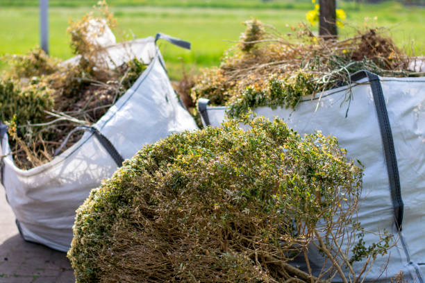 Best Basement Cleanout  in Galva, IL